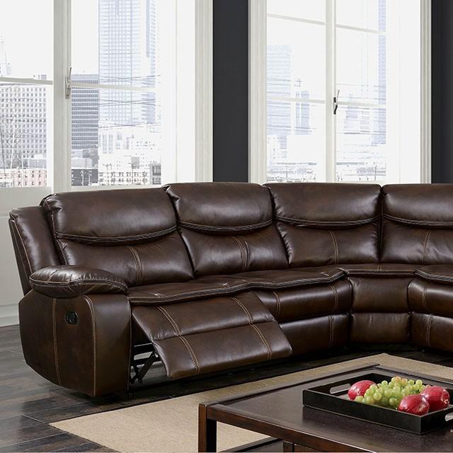 Pollux Brown Sectional image